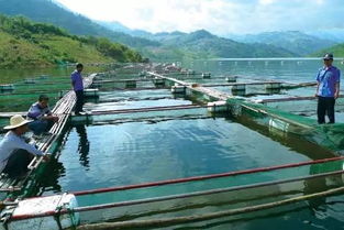 乡村规划设计丨投资乡村旅游开发,你真的知道土地流转使用限制吗