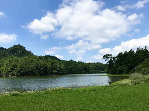 涪陵这个地方要火,即将建成一个超好玩的旅游度假区