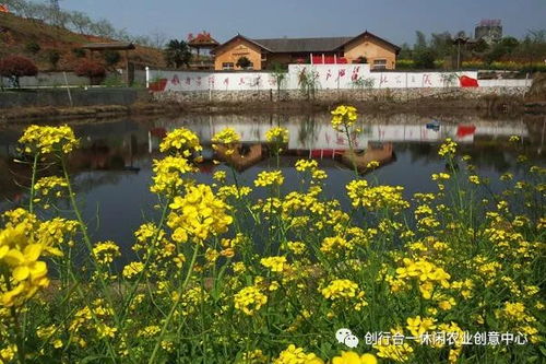 休闲农业 地产 乡村旅游新业态的开发思路