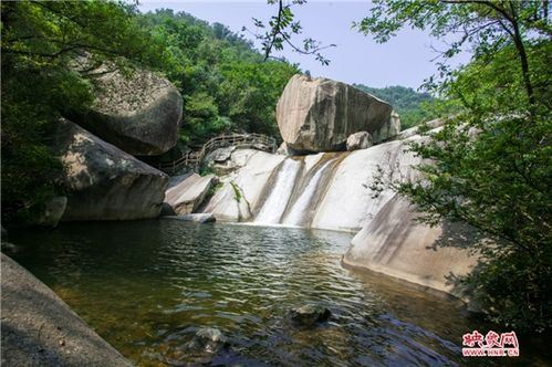 龙成旅游集团积极开拓旅游产品市场