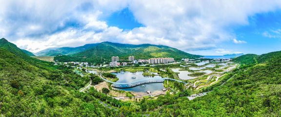 又一酒店度假项目落户!南澳东涌片区旅游品质再迎升级