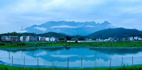 助力旅游复苏发展,中国旅游合作联盟考察团赴江西上饶灵山景区考察