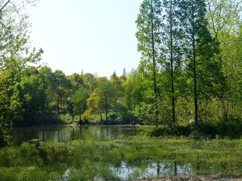 湖北新增9家aaaa级景区 宜昌有两家位列其中